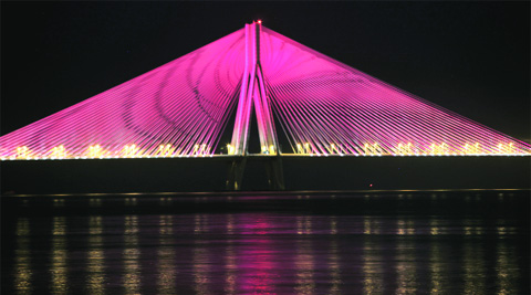 Cable Stayed Bridge